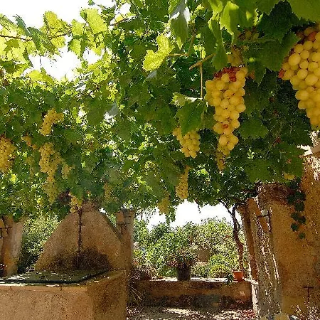 سون تروبات ويلنيس آند سبا 4*